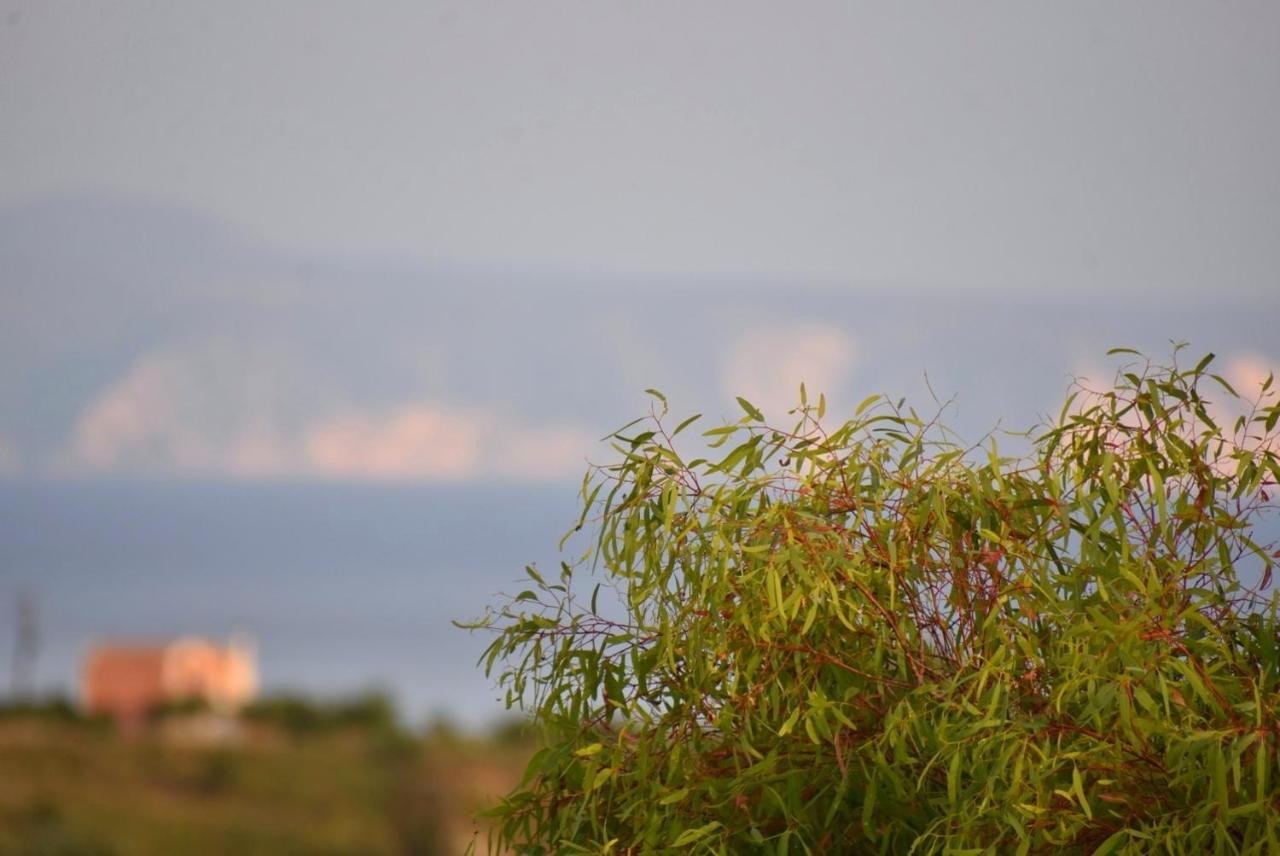 Anemomylos Apartments Lixouri Esterno foto